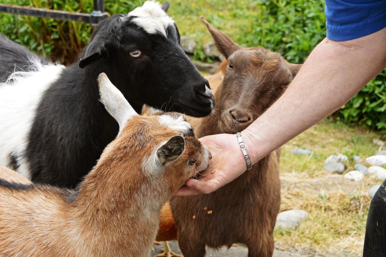 Gordon'S Beach Farm Stay Sooke Buitenkant foto